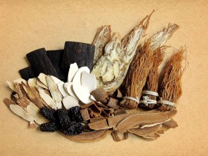 Skarby Chin: dzięgiel chiński 