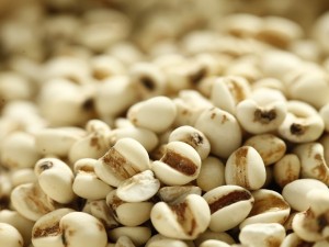 Łzawica ogrodowa: nasiona o niezwykłych właściwościach 